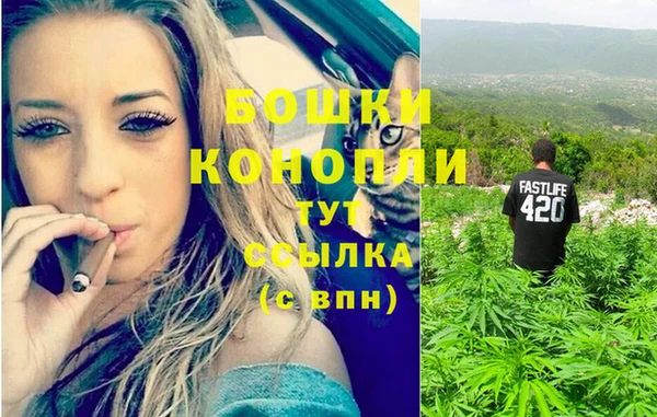 мет Козловка
