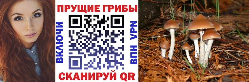 Псилоцибиновые грибы Magic Shrooms Комсомольск